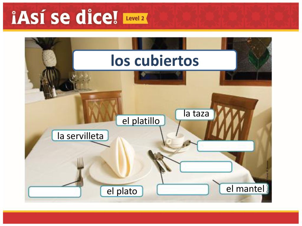 los cubiertos la taza el platillo la servilleta el mantel el plato