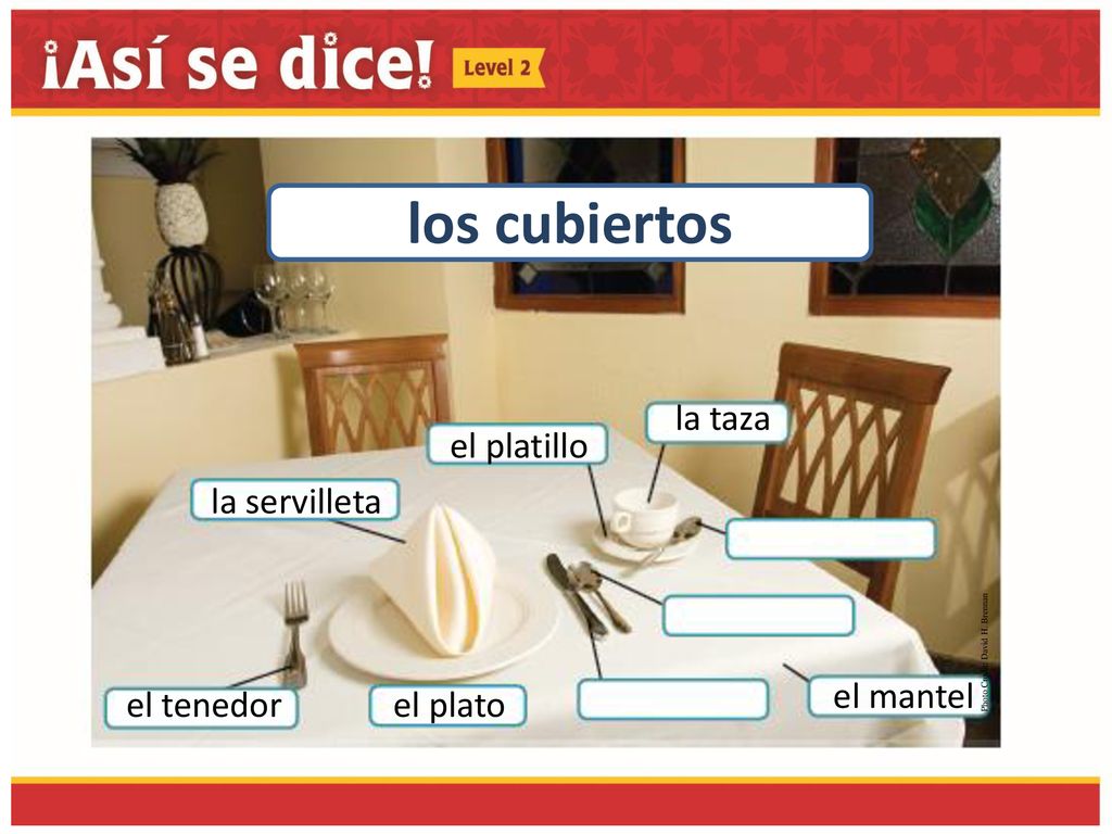 los cubiertos la taza el platillo la servilleta el mantel el tenedor