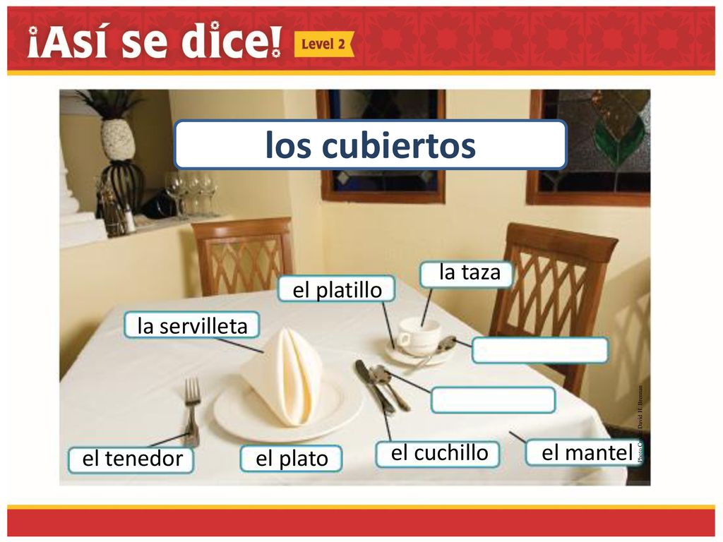 los cubiertos la taza el platillo la servilleta el cuchillo el mantel