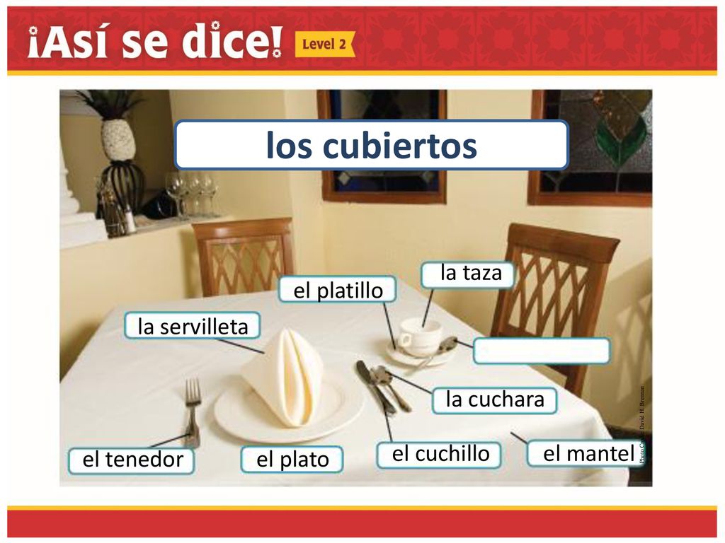 los cubiertos la taza el platillo la servilleta la cuchara el cuchillo