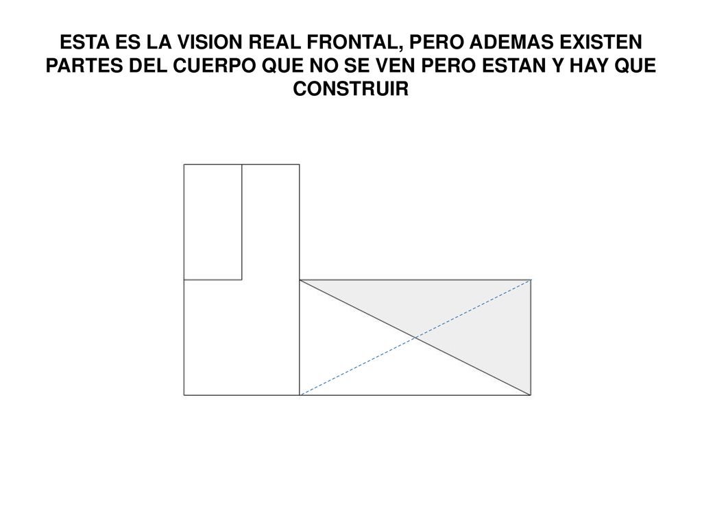 ESTA ES LA VISION REAL FRONTAL, PERO ADEMAS EXISTEN PARTES DEL CUERPO QUE NO SE VEN PERO ESTAN Y HAY QUE CONSTRUIR
