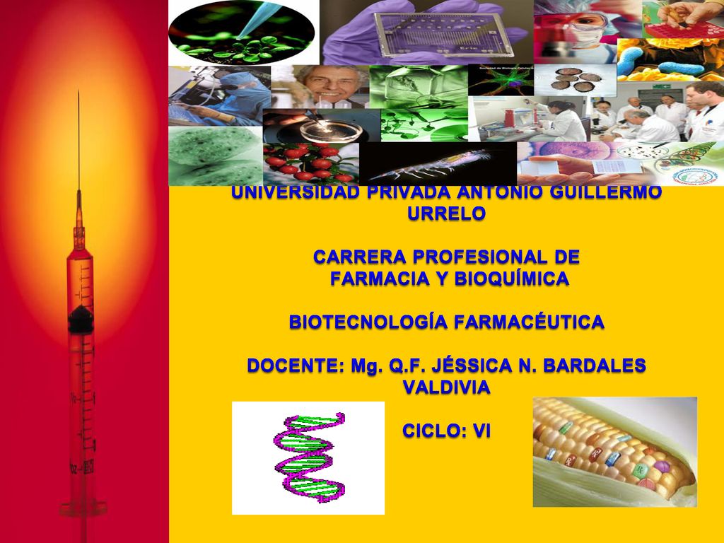 UNIVERSIDAD PRIVADA ANTONIO GUILLERMO URRELO CARRERA PROFESIONAL DE FARMACIA Y BIOQUÍMICA BIOTECNOLOGÍA FARMACÉUTICA DOCENTE: Mg.