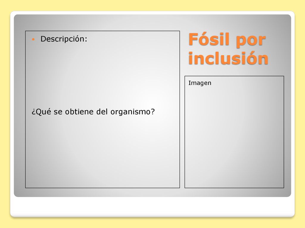 Fósil por inclusión Descripción: ¿Qué se obtiene del organismo Imagen