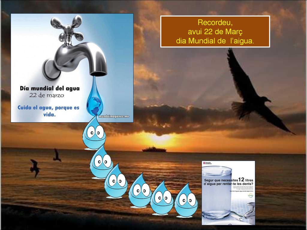 Recordeu, avui 22 de Març dia Mundial de l’aigua.
