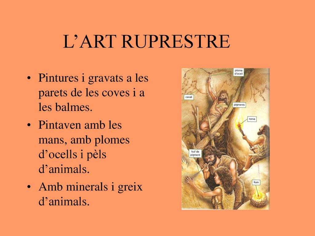 L’ART RUPRESTRE Pintures i gravats a les parets de les coves i a les balmes. Pintaven amb les mans, amb plomes d’ocells i pèls d’animals.