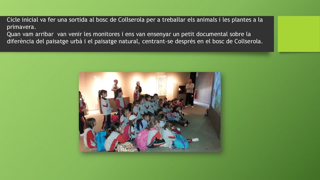 Cicle inicial va fer una sortida al bosc de Collserola per a treballar els animals i les plantes a la primavera.