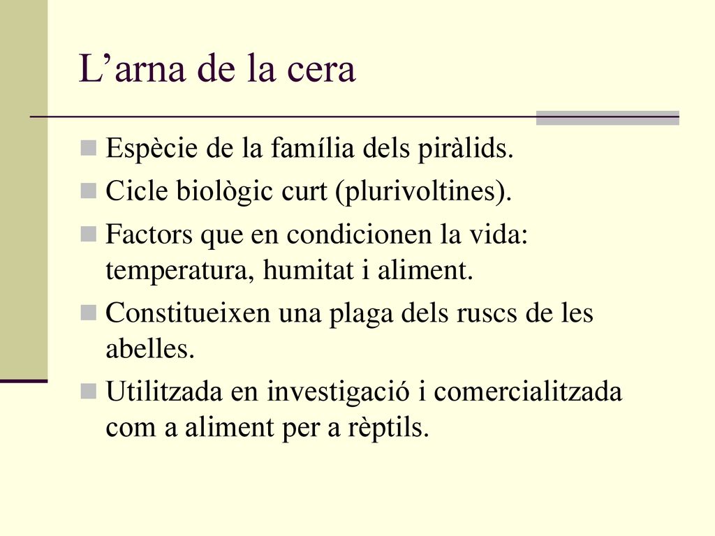 L’arna de la cera Espècie de la família dels piràlids.