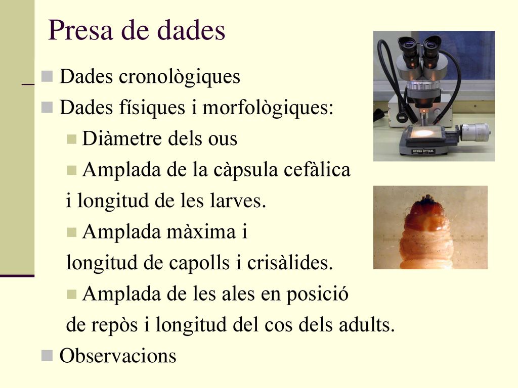 Presa de dades Dades cronològiques Dades físiques i morfològiques: