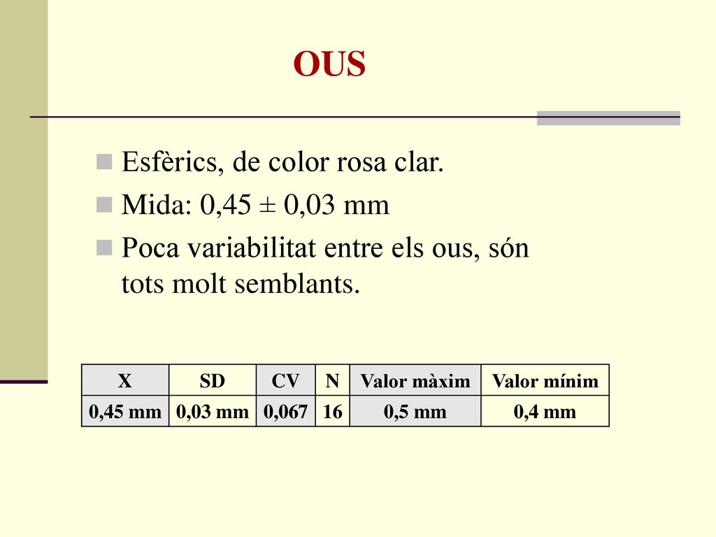 OUS Esfèrics, de color rosa clar. Mida: 0,45 ± 0,03 mm
