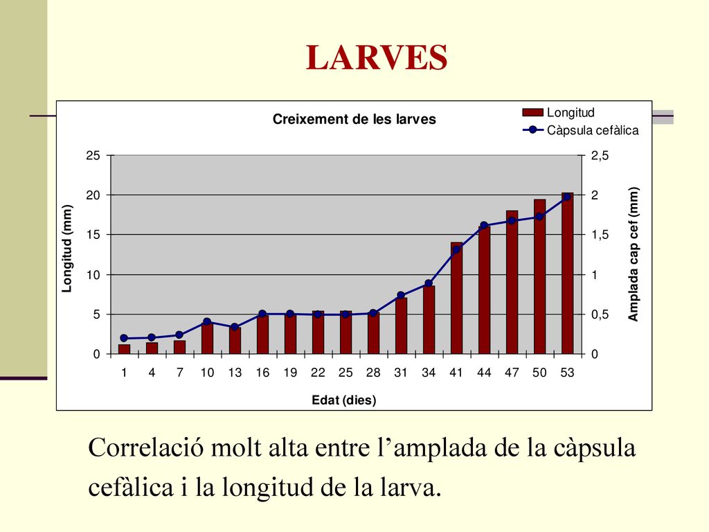 LARVES Correlació molt alta entre l’amplada de la càpsula