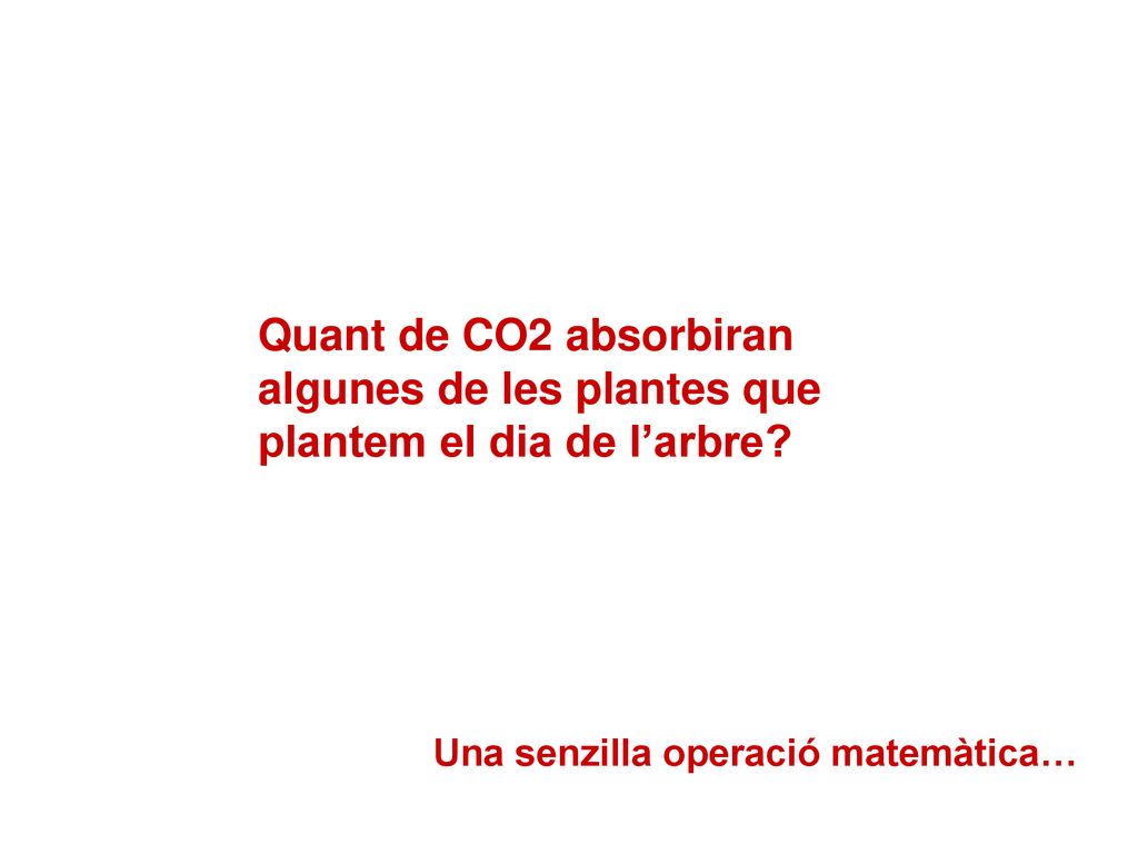 Quant de CO2 absorbiran algunes de les plantes que plantem el dia de l’arbre