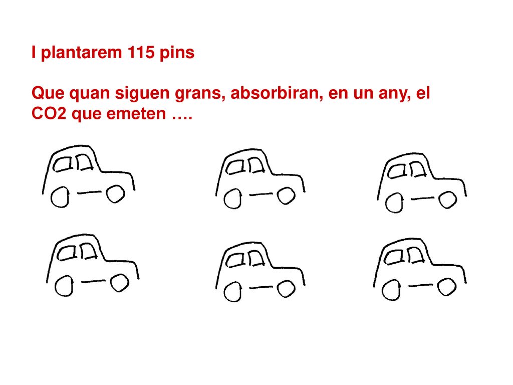 I plantarem 115 pins Que quan siguen grans, absorbiran, en un any, el CO2 que emeten ….