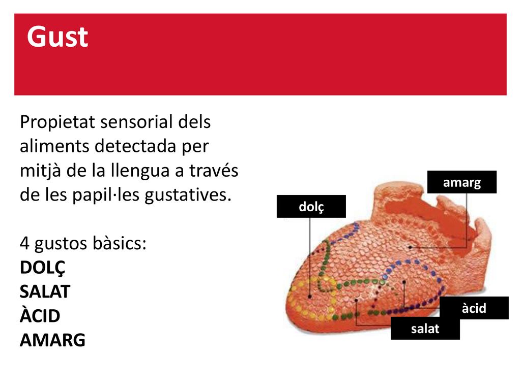 Gust Propietat sensorial dels aliments detectada per mitjà de la llengua a través de les papil·les gustatives.