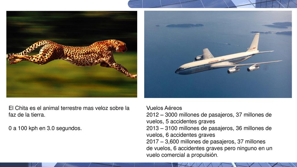 El Chita es el animal terrestre mas veloz sobre la faz de la tierra.