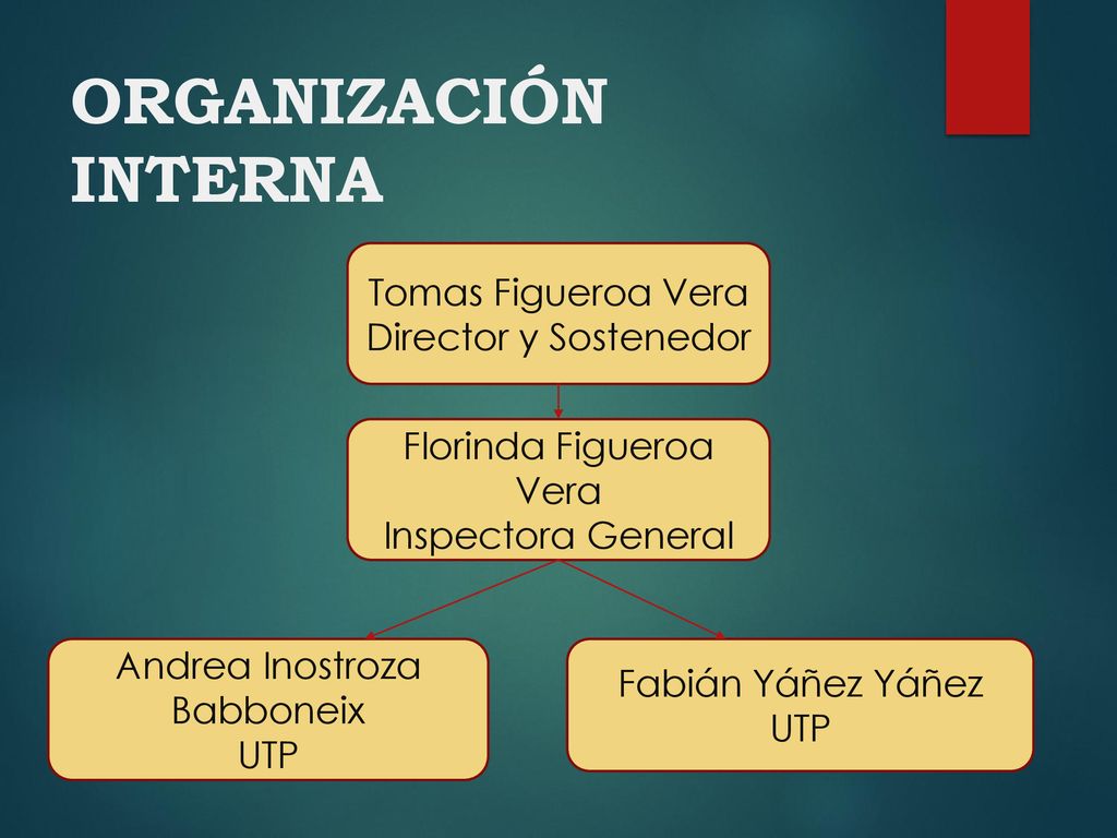 ORGANIZACIÓN INTERNA Tomas Figueroa Vera Director y Sostenedor