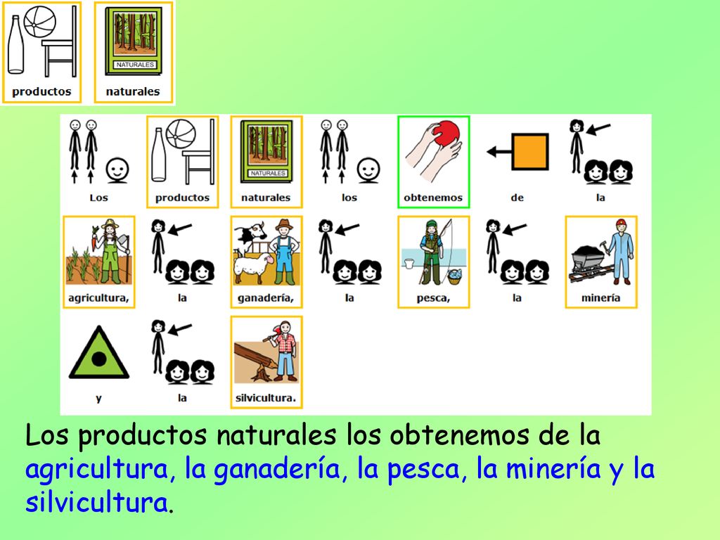 Los productos naturales los obtenemos de la agricultura, la ganadería, la pesca, la minería y la silvicultura.