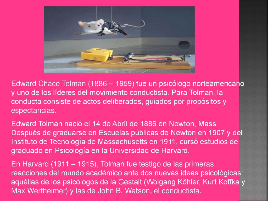 Edward Chace Tolman (1886 – 1959) fue un psicólogo norteamericano y uno de los líderes del movimiento conductista. Para Tolman, la conducta consiste de actos deliberados, guiados por propósitos y espectancias.
