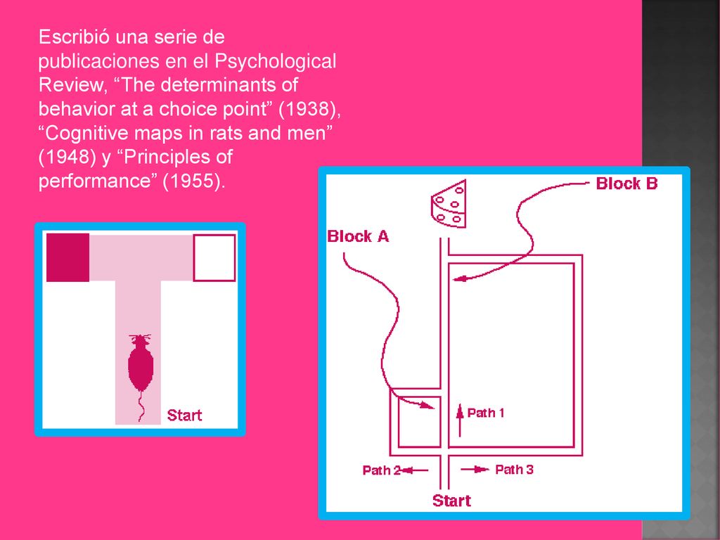 Escribió una serie de publicaciones en el Psychological Review, The determinants of behavior at a choice point (1938), Cognitive maps in rats and men (1948) y Principles of performance (1955).