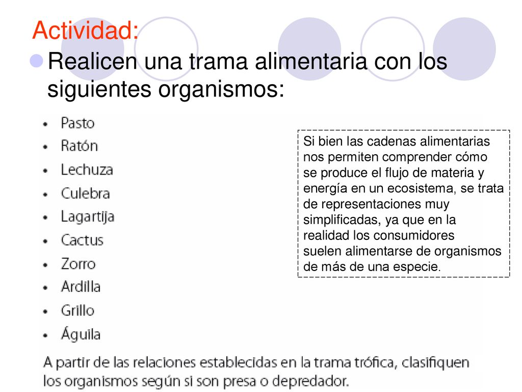 Actividad: Realicen una trama alimentaria con los siguientes organismos: Si bien las cadenas alimentarias.