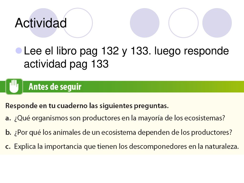 Actividad Lee el libro pag 132 y 133. luego responde actividad pag 133