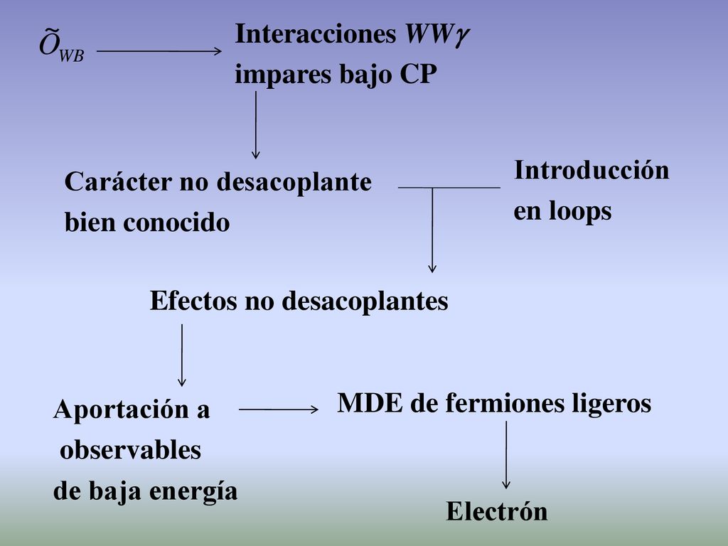 Interacciones WWg impares bajo CP. Introducción. en loops. Carácter no desacoplante. bien conocido.