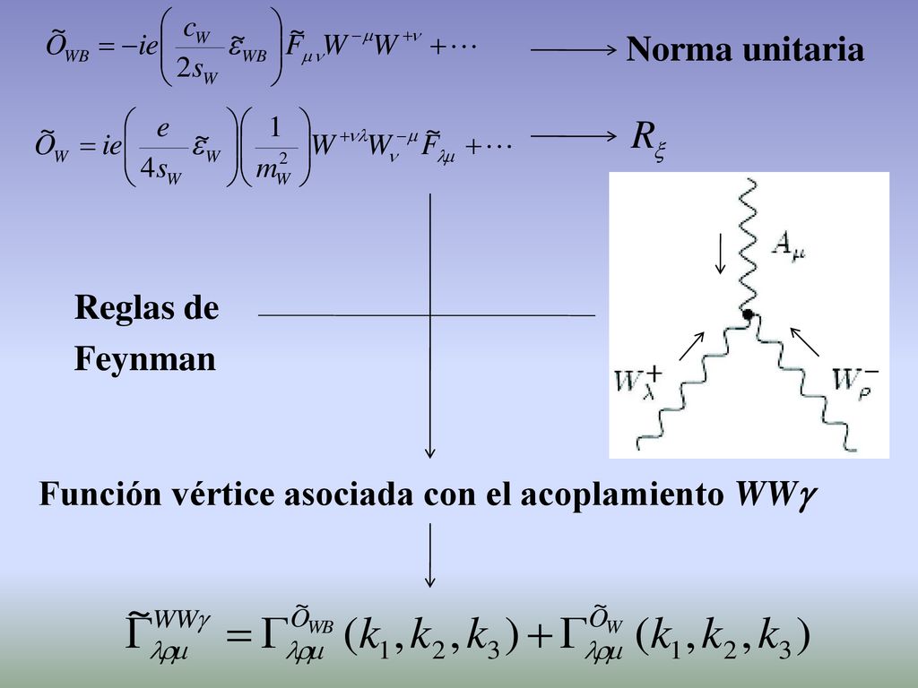 Norma unitaria Reglas de Feynman Función vértice asociada con el acoplamiento WWg