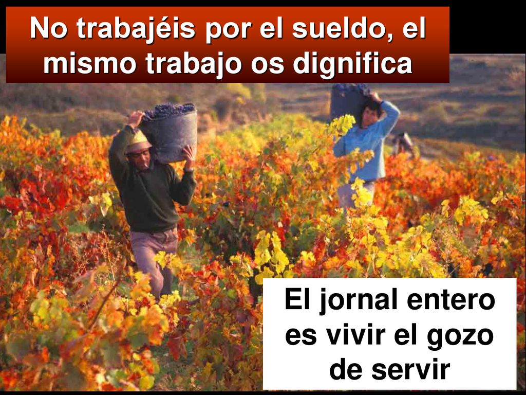 No trabajéis por el sueldo, el mismo trabajo os dignifica