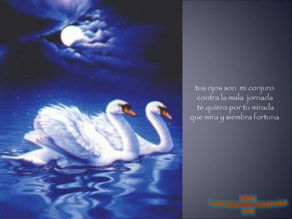 tus ojos son mi conjuro contra la mala jornada te quiero por tu mirada que mira y siembra fortuna