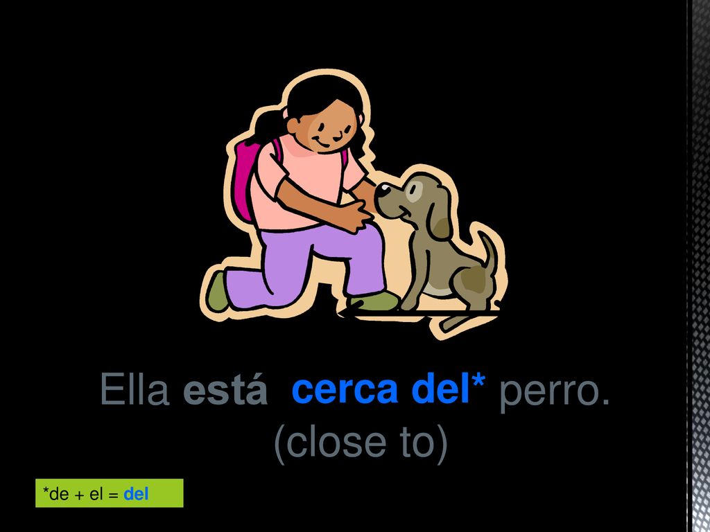 Ella está perro. (close to) cerca del* *de + el = del
