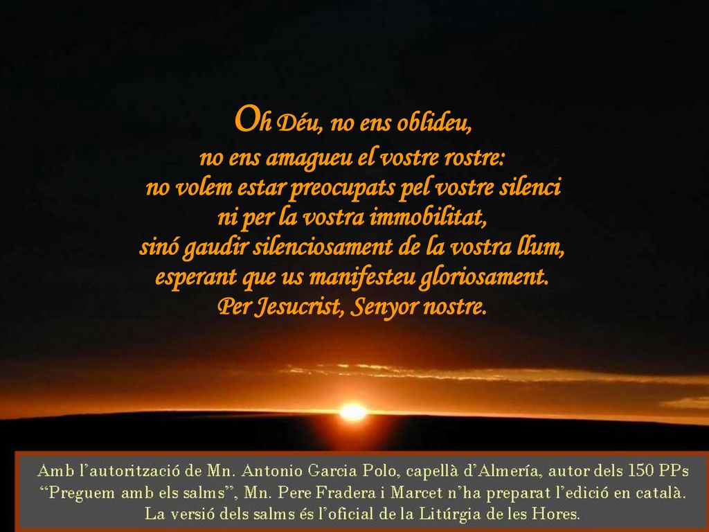 Oh Déu, no ens oblideu, no ens amagueu el vostre rostre:
