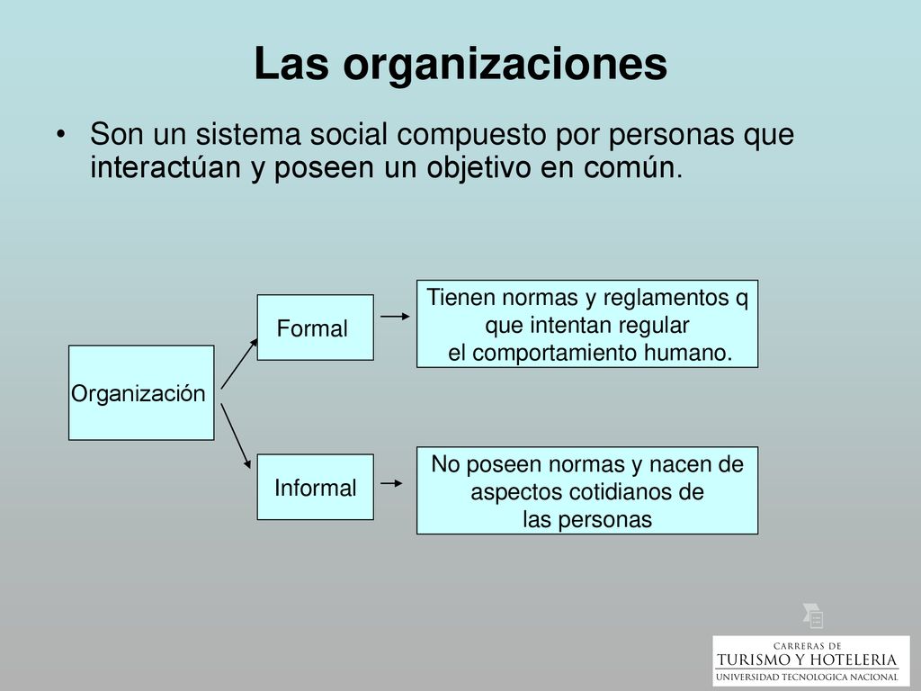 Las organizaciones Son un sistema social compuesto por personas que interactúan y poseen un objetivo en común.