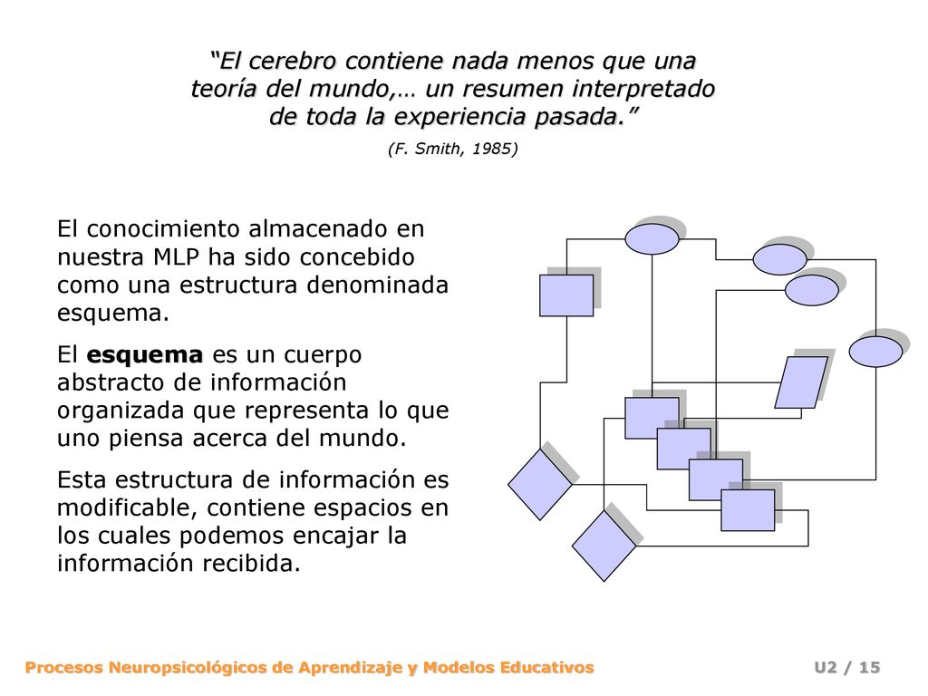 El cerebro contiene nada menos que una teoría del mundo,… un resumen interpretado de toda la experiencia pasada.