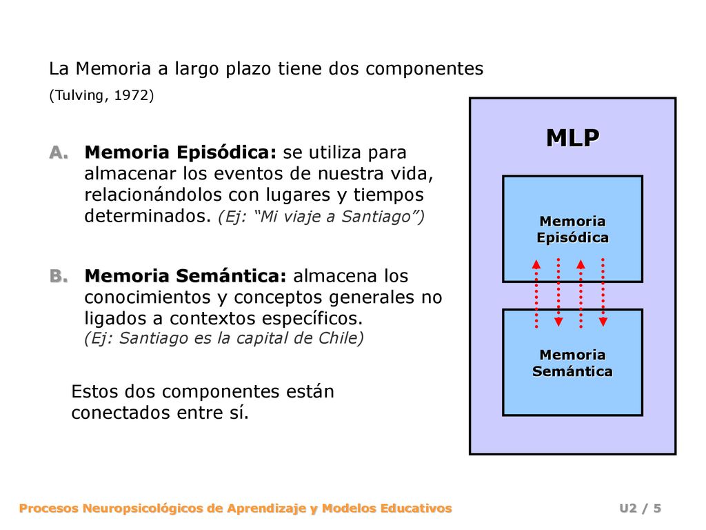 MLP La Memoria a largo plazo tiene dos componentes