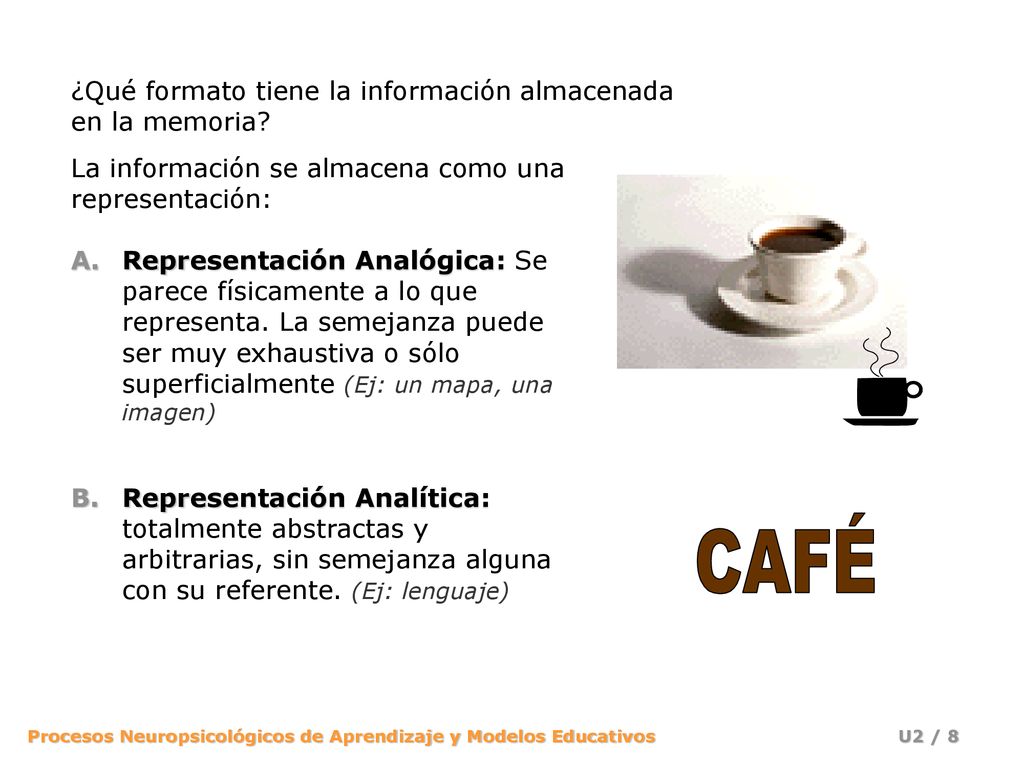 CAFÉ ¿Qué formato tiene la información almacenada en la memoria