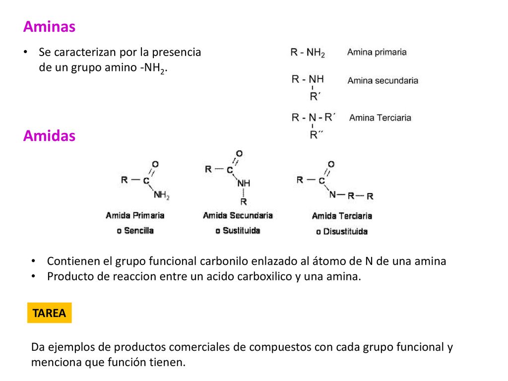 Aminas Amidas Se caracterizan por la presencia de un grupo amino -NH2.