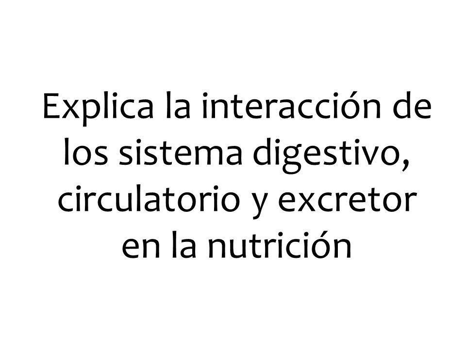 Explica la interacción de los sistema digestivo, circulatorio y excretor en la nutrición