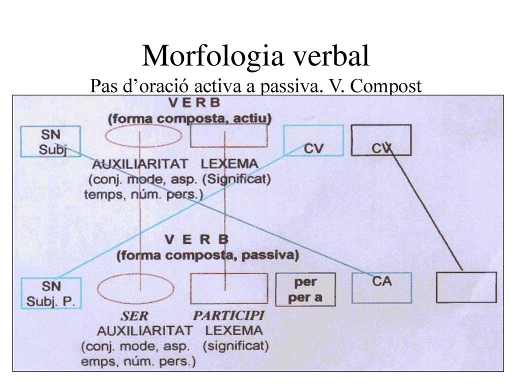 Morfologia verbal Pas d’oració activa a passiva. V. Compost