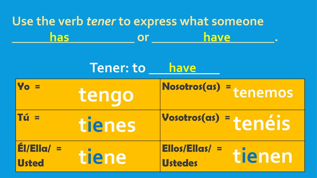 tengo tenéis tienes tienen tiene tenemos Tener: to __________