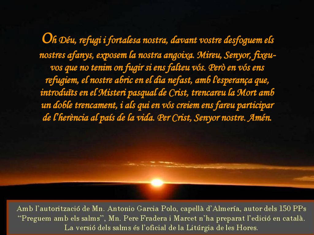 Oh Déu, refugi i fortalesa nostra, davant vostre desfoguem els nostres afanys, exposem la nostra angoixa.