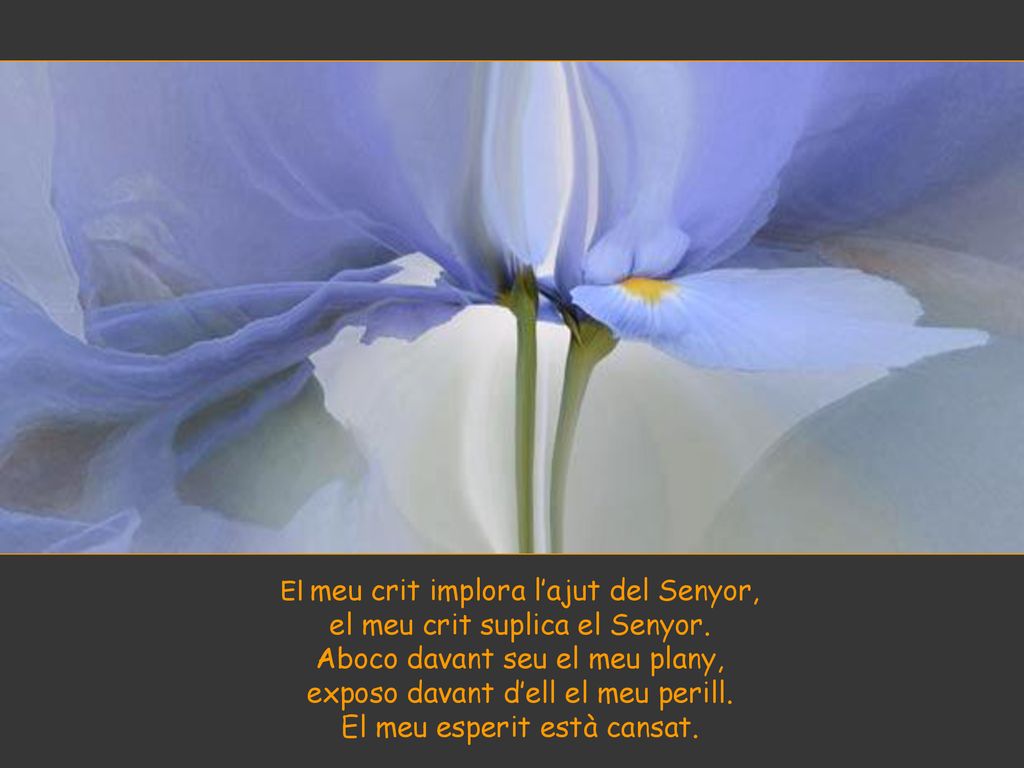 el meu crit suplica el Senyor. Aboco davant seu el meu plany,