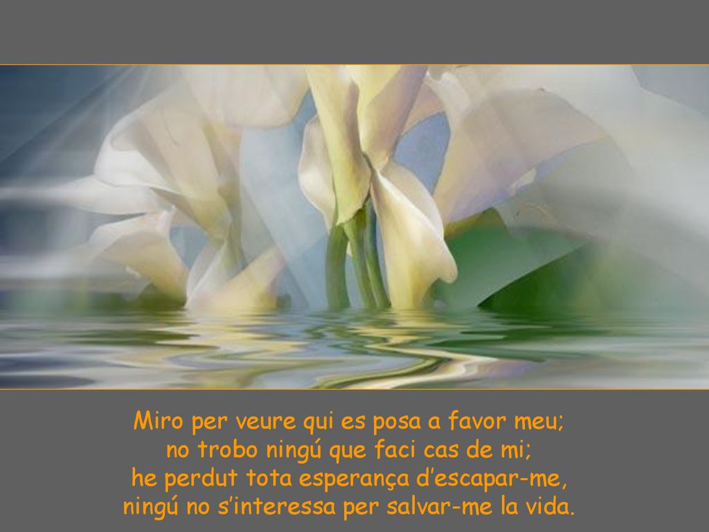 Miro per veure qui es posa a favor meu;
