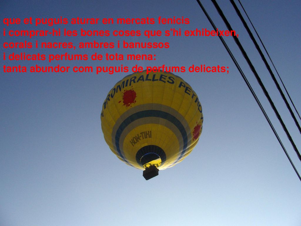 que et puguis aturar en mercats fenicis i comprar-hi les bones coses que s hi exhibeixen, corals i nacres, ambres i banussos i delicats perfums de tota mena: tanta abundor com puguis de perfums delicats;