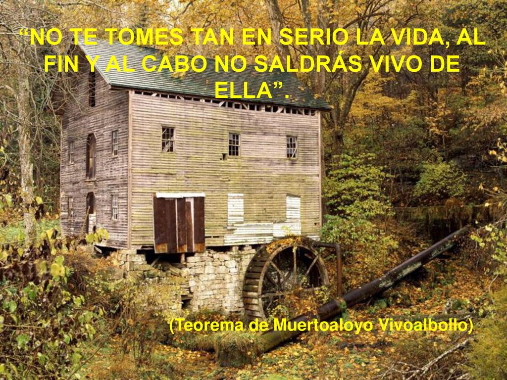 NO TE TOMES TAN EN SERIO LA VIDA, AL FIN Y AL CABO NO SALDRÁS VIVO DE ELLA .