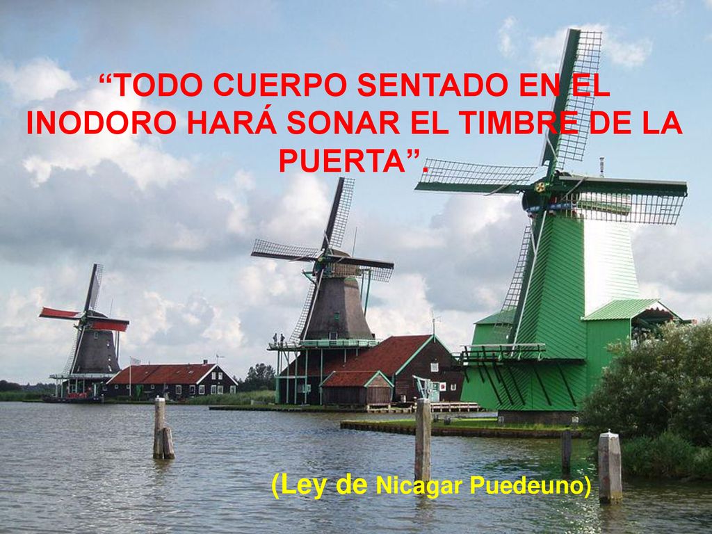 TODO CUERPO SENTADO EN EL INODORO HARÁ SONAR EL TIMBRE DE LA PUERTA .