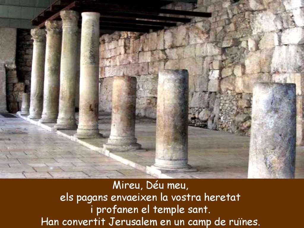 els pagans envaeixen la vostra heretat i profanen el temple sant.