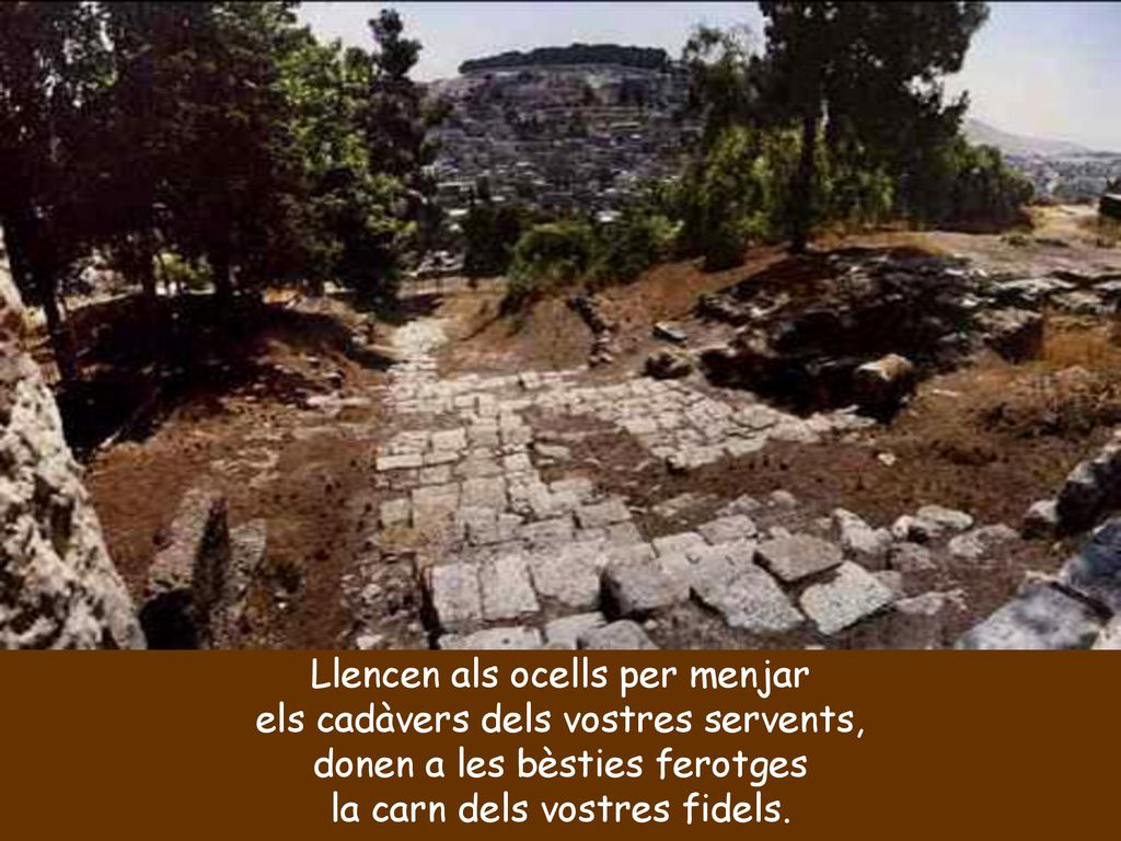 Llencen als ocells per menjar els cadàvers dels vostres servents,