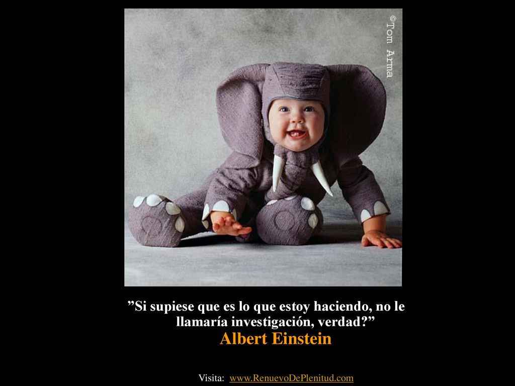 Si supiese que es lo que estoy haciendo, no le llamaría investigación, verdad Albert Einstein