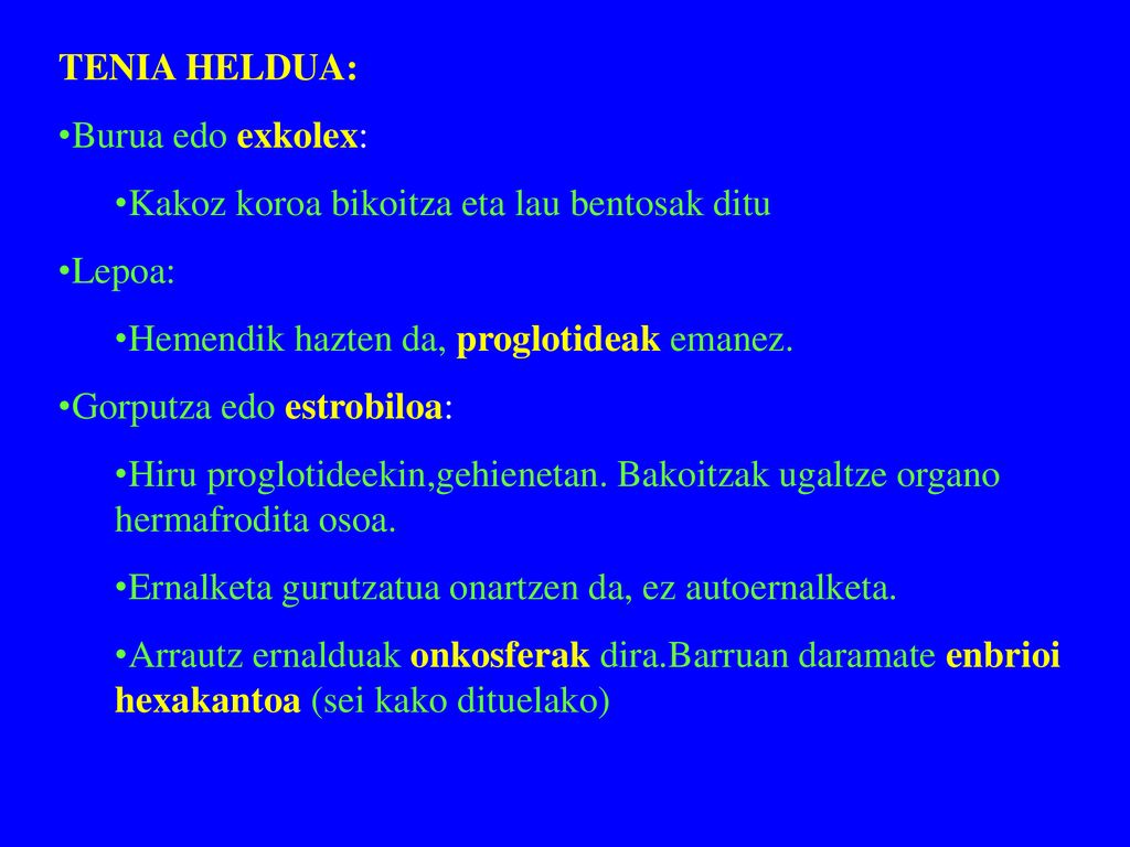 TENIA HELDUA: Burua edo exkolex: Kakoz koroa bikoitza eta lau bentosak ditu. Lepoa: Hemendik hazten da, proglotideak emanez.