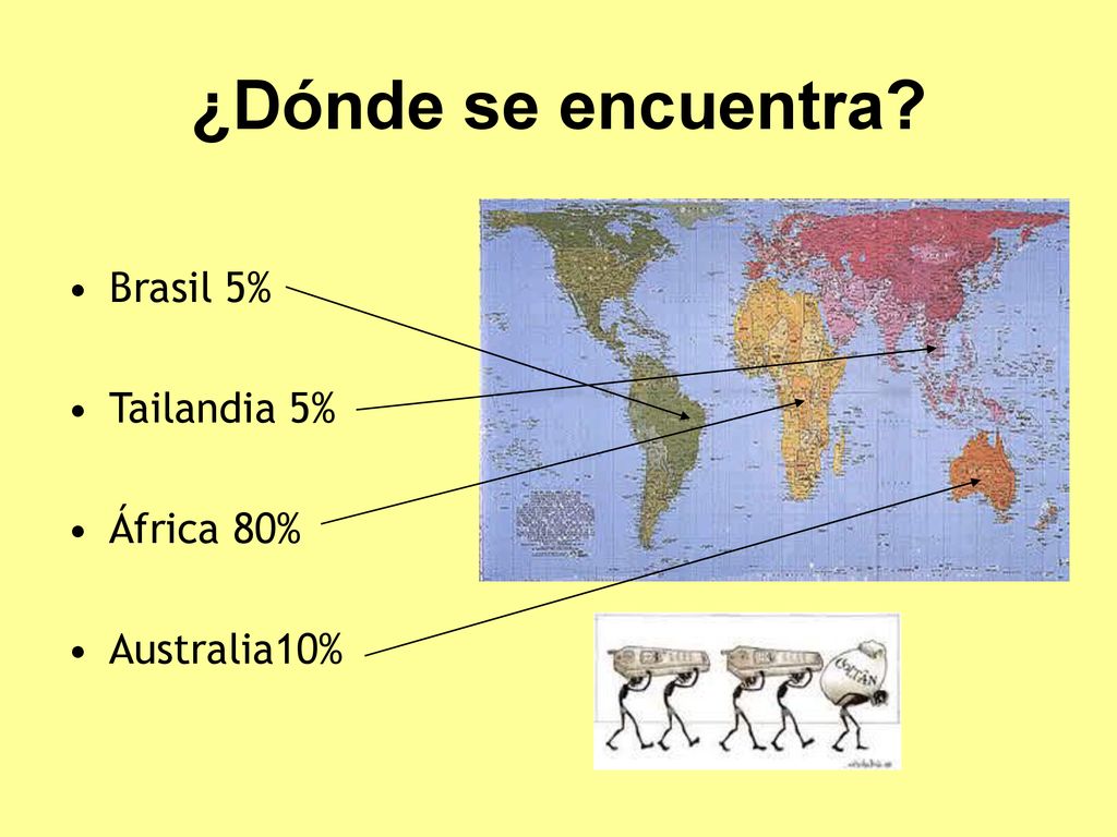 ¿Dónde se encuentra Brasil 5% Tailandia 5% África 80% Australia10%