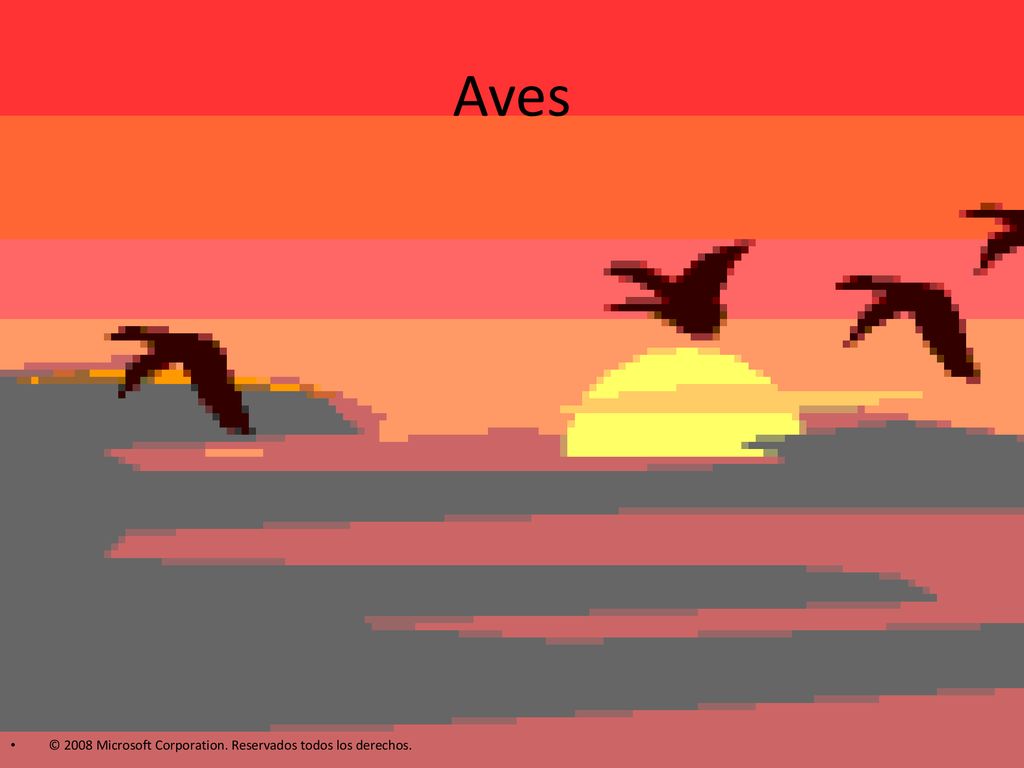 Aves © 2008 Microsoft Corporation. Reservados todos los derechos.